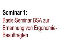 Seminar 1:   Basis - Seminar  BSA zur   Ernennung von Ergonomie- Beauftragten